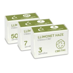 Llimonet Haze - Clásica CBD. Fotodependiente
