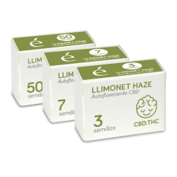 Llimonet Haze - Autofloreciente CBD