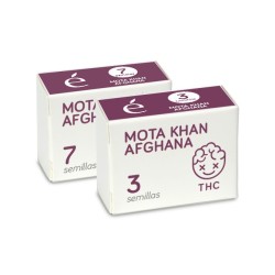 Afghan Mota Khan